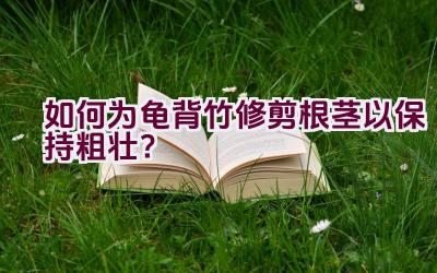 如何为龟背竹修剪根茎以保持粗壮?插图 如何为龟背竹修剪根茎以保持粗壮?插图