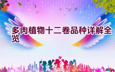 多肉植物十二卷品种详解全览插图 多肉植物十二卷品种详解全览插图