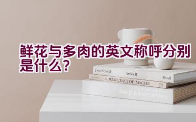 鲜花与多肉的英文称呼分别是什么？插图