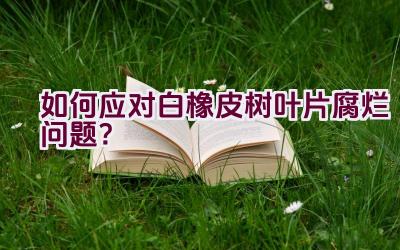 如何应对白橡皮树叶片腐烂问题?插图 如何应对白橡皮树叶片腐烂问题?插图