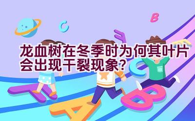 龙血树在冬季时为何其叶片会出现干裂现象?插图 龙血树在冬季时为何其叶片会出现干裂现象?插图
