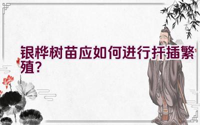 银桦树苗应如何进行扦插繁殖?插图 银桦树苗应如何进行扦插繁殖?插图