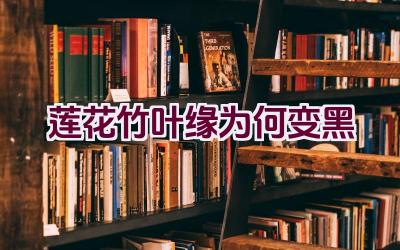 莲花竹叶缘为何变黑插图 莲花竹叶缘为何变黑插图