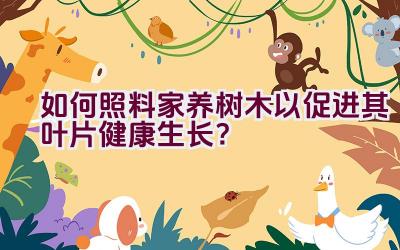 如何照料家养树木以促进其叶片健康生长?插图 如何照料家养树木以促进其叶片健康生长?插图