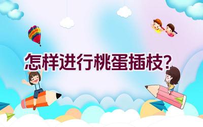 怎样进行桃蛋插枝？插图