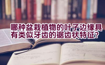 哪种盆栽植物的叶子边缘具有类似牙齿的锯齿状特征?插图 哪种盆栽植物的叶子边缘具有类似牙齿的锯齿状特征?插图