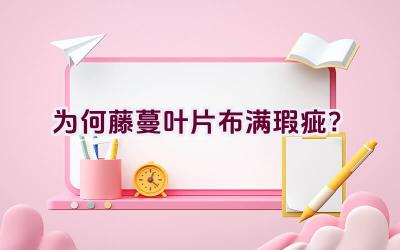 为何藤蔓叶片布满瑕疵？插图