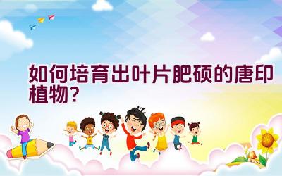 如何培育出叶片肥硕的唐印植物？插图