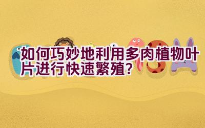 如何巧妙地利用多肉植物叶片进行快速繁殖?插图 如何巧妙地利用多肉植物叶片进行快速繁殖?插图