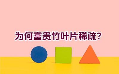 “为何富贵竹叶片稀疏?”插图 “为何富贵竹叶片稀疏?”插图