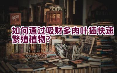 如何通过吸财多肉叶插快速繁殖植物?插图 如何通过吸财多肉叶插快速繁殖植物?插图