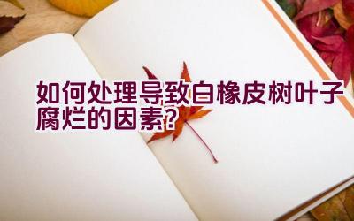如何处理导致白橡皮树叶子腐烂的因素?插图 如何处理导致白橡皮树叶子腐烂的因素?插图