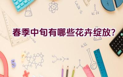 春季中旬有哪些花卉绽放?插图 春季中旬有哪些花卉绽放?插图