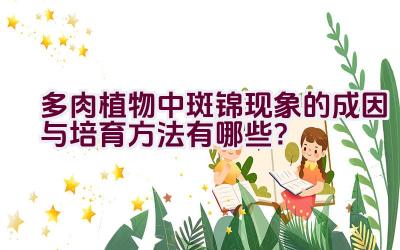 多肉植物中斑锦现象的成因与培育方法有哪些?插图 多肉植物中斑锦现象的成因与培育方法有哪些?插图