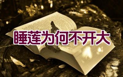 睡莲为何不开大插图 睡莲为何不开大插图