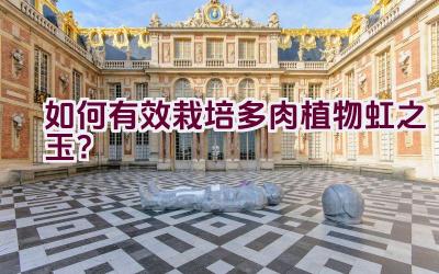 如何有效栽培多肉植物虹之玉？插图