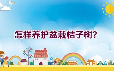 怎样养护盆栽桔子树?插图 怎样养护盆栽桔子树?插图