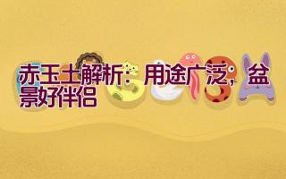 赤玉土解析:用途广泛,盆景好伴侣插图 赤玉土解析:用途广泛,盆景好伴侣插图