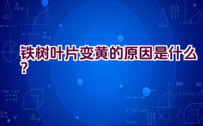铁树叶片变黄的原因是什么？插图