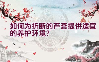 如何为折断的芦荟提供适宜的养护环境？插图