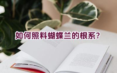 如何照料蝴蝶兰的根系?插图 如何照料蝴蝶兰的根系?插图