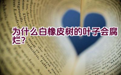 为什么白橡皮树的叶子会腐烂?插图 为什么白橡皮树的叶子会腐烂?插图