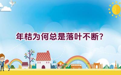 年桔为何总是落叶不断?插图 年桔为何总是落叶不断?插图