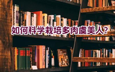 如何科学栽培多肉虞美人?插图 如何科学栽培多肉虞美人?插图