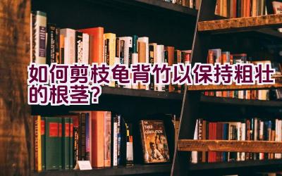 如何剪枝龟背竹以保持粗壮的根茎？插图