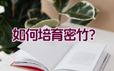 如何培育密竹？插图