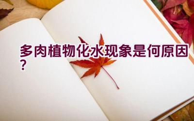 多肉植物化水现象是何原因?插图 多肉植物化水现象是何原因?插图
