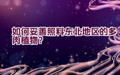 如何妥善照料东北地区的多肉植物?插图 如何妥善照料东北地区的多肉植物?插图