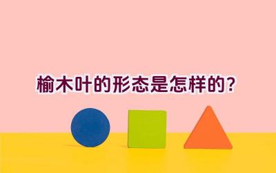 榆木叶的形态是怎样的?插图 榆木叶的形态是怎样的?插图