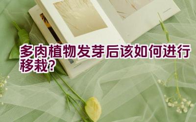 多肉植物发芽后该如何进行移栽？插图