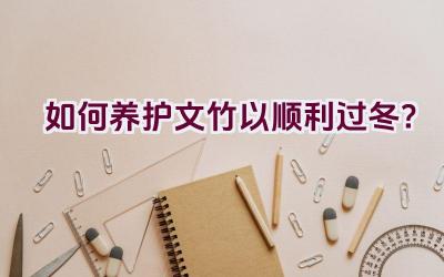 如何养护文竹以顺利过冬？插图