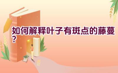 如何解释叶子有斑点的藤蔓?插图 如何解释叶子有斑点的藤蔓?插图