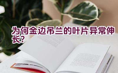 为何金边吊兰的叶片异常伸长?插图 为何金边吊兰的叶片异常伸长?插图