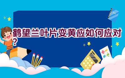 鹤望兰叶片变黄应如何应对?插图 鹤望兰叶片变黄应如何应对?插图