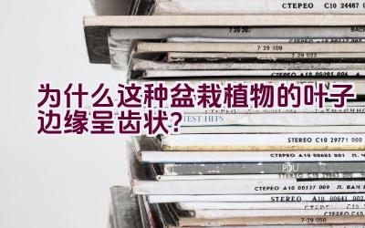 为什么这种盆栽植物的叶子边缘呈齿状？插图