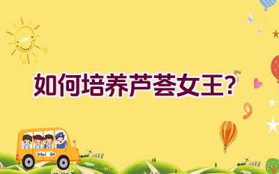 如何培养芦荟女王?插图 如何培养芦荟女王?插图