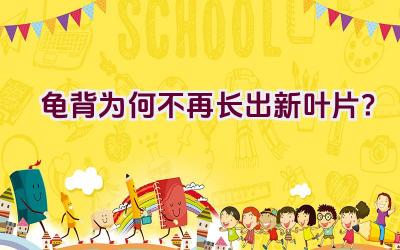 龟背为何不再长出新叶片？插图