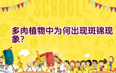 多肉植物中为何出现斑锦现象?插图 多肉植物中为何出现斑锦现象?插图