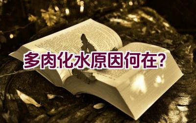 多肉化水原因何在?插图 多肉化水原因何在?插图