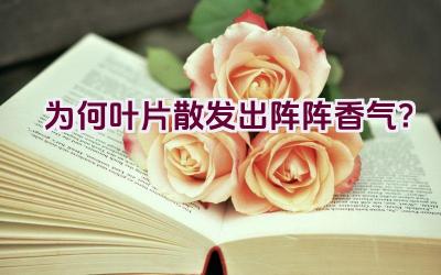 为何叶片散发出阵阵香气?插图 为何叶片散发出阵阵香气?插图