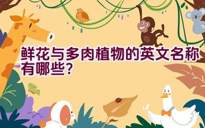 “鲜花与多肉植物的英文名称有哪些?”插图 “鲜花与多肉植物的英文名称有哪些?”插图