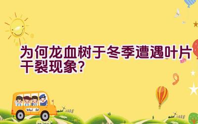 为何龙血树于冬季遭遇叶片干裂现象?插图 为何龙血树于冬季遭遇叶片干裂现象?插图
