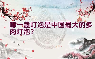 哪一盏灯泡是中国最大的多肉灯泡?插图 哪一盏灯泡是中国最大的多肉灯泡?插图