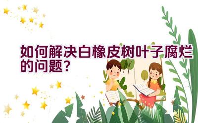 如何解决白橡皮树叶子腐烂的问题?插图 如何解决白橡皮树叶子腐烂的问题?插图