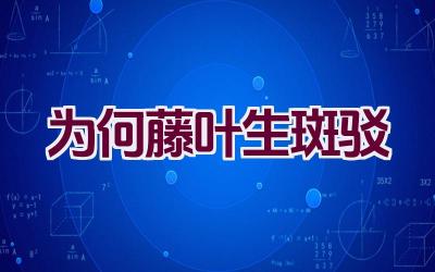 为何藤叶生斑驳插图 为何藤叶生斑驳插图