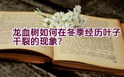 龙血树如何在冬季经历叶子干裂的现象?插图 龙血树如何在冬季经历叶子干裂的现象?插图